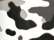 Badger 2181 Youth Camo T-Shirt - White - swatch