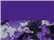 Badger 4140 Men's Hook Digital T-Shirt - Purple/ Purple - swatch