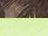Kati LC5M Licensed Camo Mesh Back Cap - Realtree AP/ Neon Yellow - swatch