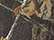 Kati LC10 Licensed Camo Cap - Mossy Oak New Breakup - MO15 - swatch
