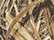 Kati LC10 Licensed Camo Cap - Mossy Oak Shadow Grass Blades - swatch