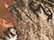 Kati LC10 Licensed Camo Cap - Realtree Edge - swatch