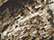 Kati LC15V Licensed Camo Hook-and-Loop Cap - Mossy Oak Country - swatch