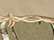 Kati LC4BW Licensed Camo with Barbed Wire Embroidery Cap - AP/ Tan - swatch