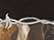 Kati LC4BW Licensed Camo with Barbed Wire Embroidery Cap - Black/ Realtree AP - swatch