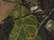 Kati LCB08 8" Licensed Camo Beanie - Mossy Oak BreakUp - swatch