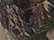 Kati LCB08 8" Licensed Camo Beanie - Realtree All Purpose - swatch