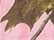 Kati SN20W Women’s Specialty Licensed Camo Cap - Pink Realtree AP - swatch