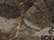 Kati LCB08 8" Licensed Camo Beanie - Max7 - swatch