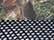 Richardson 112P Printed Trucker Cap - Mossy Oak Country DNA/ Black - swatch