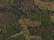 Sportsman SP12 12" Solid Cuffed Beanie - Green Camo - swatch