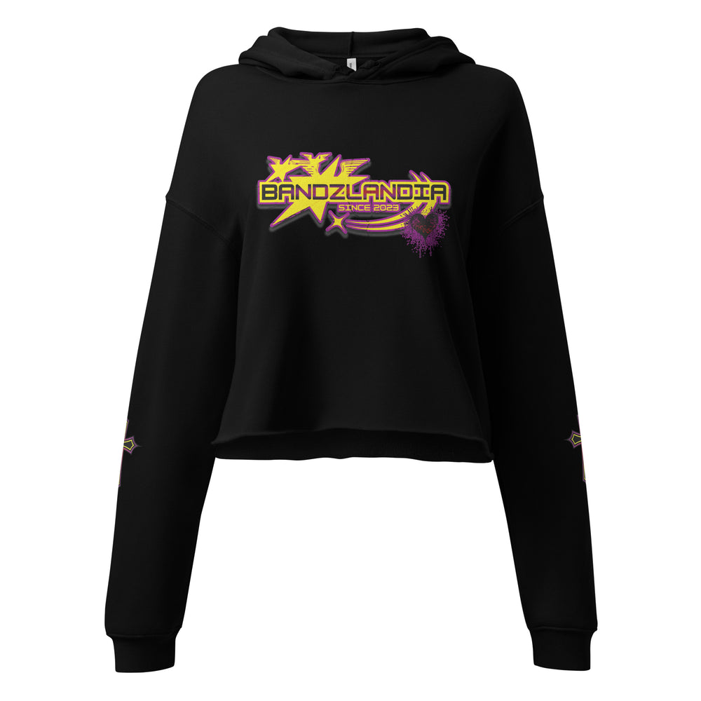 LADY BANDZ Crop Hoodie