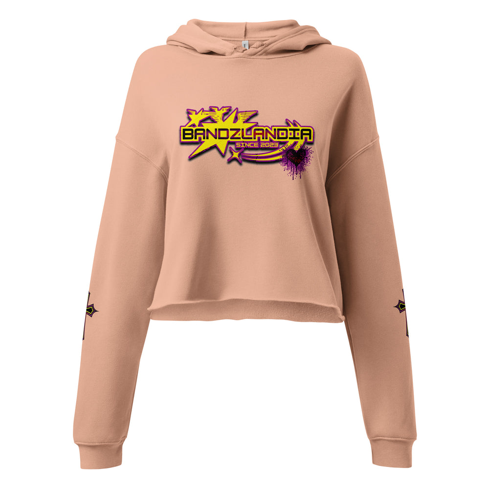 LADY BANDZ Crop Hoodie