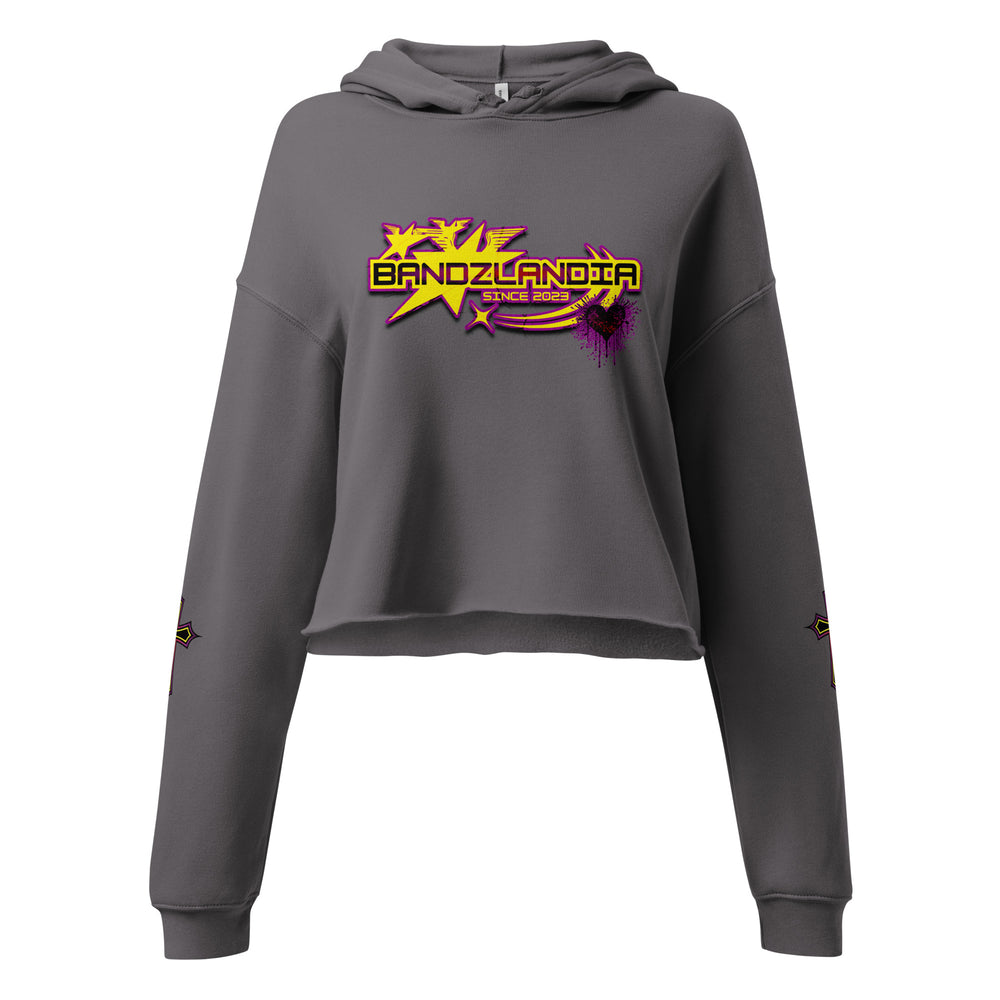 LADY BANDZ Crop Hoodie
